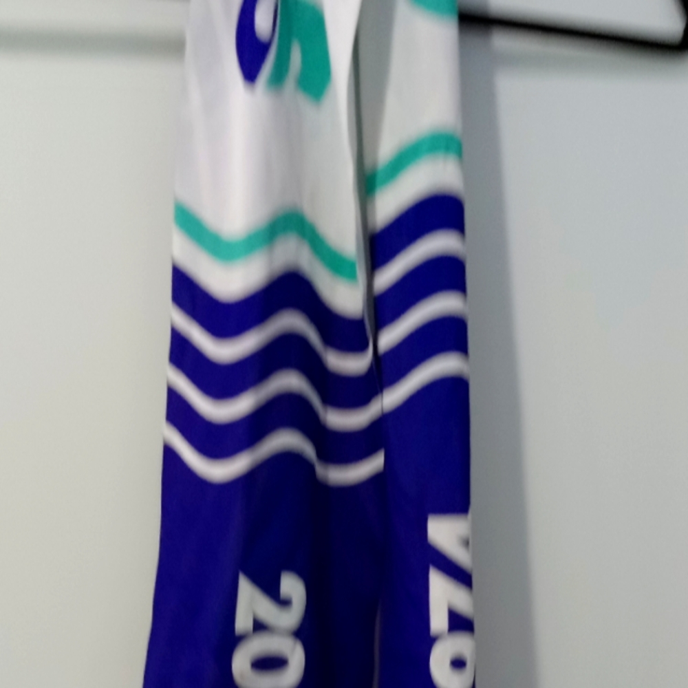 2019 sounder scarf